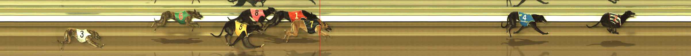 Race result finish photo